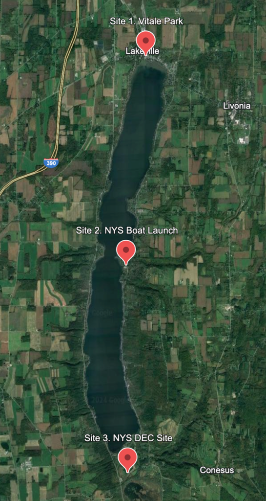 CLA Annual Clean Up Day